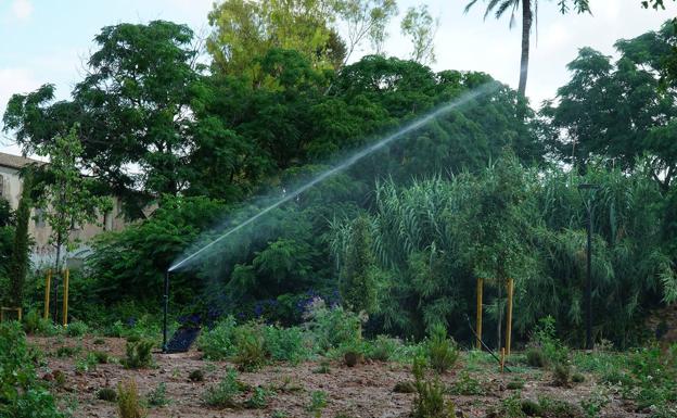 Benicalap estrena un bosquet i un corredor verd blau del projecte europeu GrowGreen